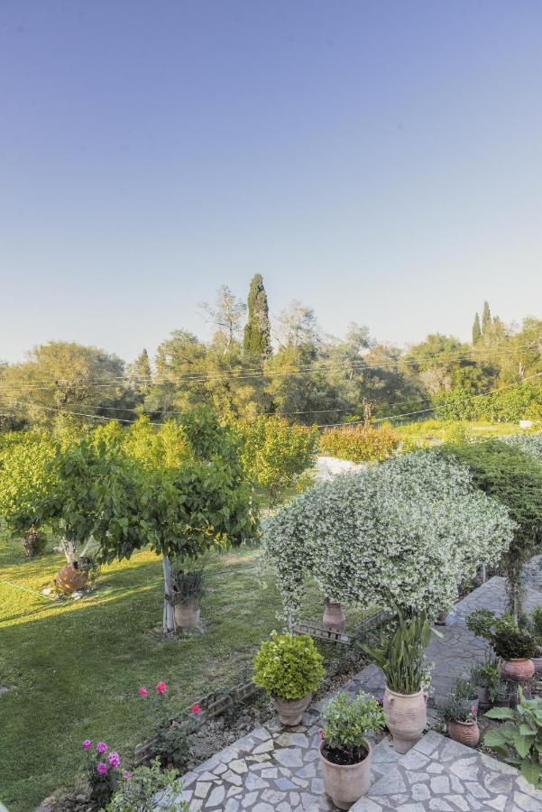 Apartment Vasiliki Lefkímmi