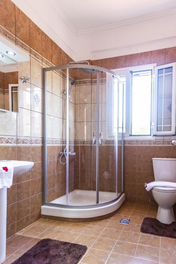 Vasiliki Apartment Lefkímmi