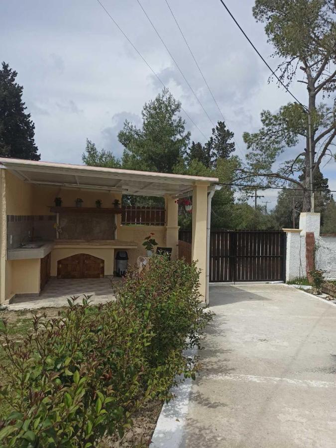 Vasiliki Apartment