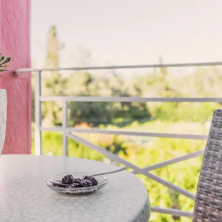 Villa Vasiliki Lefkímmi Exteriér fotografie